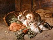 unknow artist Rabbits 135 oil painting reproduction